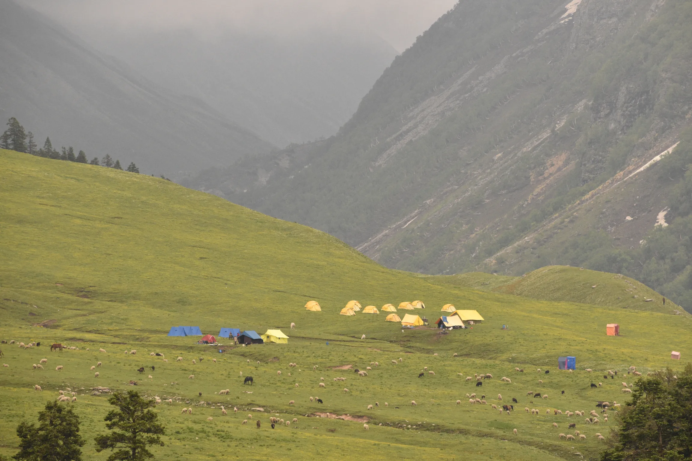 Dayara Thach , a meadow on the way to Chandarnahan Lakes Trek, High In Himalayas